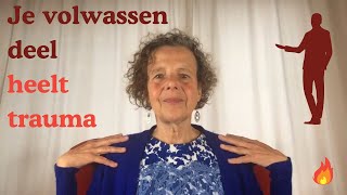 Vanuit je volwassen deel kun je je traumagevoelens dragen en verwerken