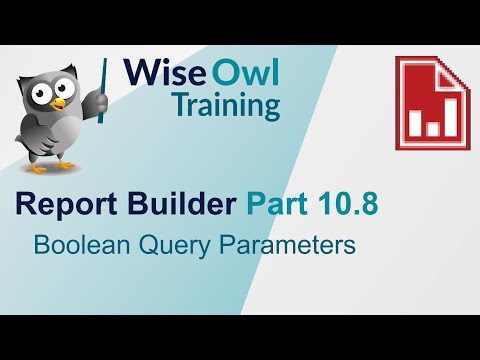 SSRS Report Builder Part 10.8 - Boolean Query Parameters