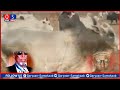 QODOB WAA GABAY CAJIIB AH DHOODAAN