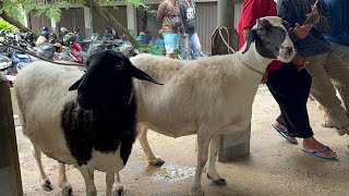 Download lagu BETINA JUMBO DI PASAR HEWAN KRANGGAN TEMANGGUNG mp3 Download lagu BETINA JUMBO DI PASAR HEWAN KRANGGAN TEMANGGUNG mp3