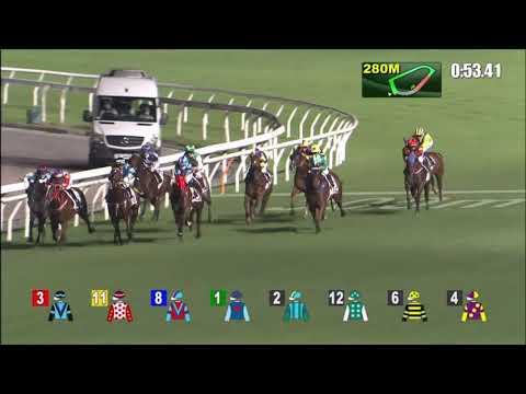 2/6/2021 (723) Harrier Jet - Z Purton