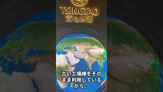 これが中国No.1ビールの原点！青島ビール博物館に行ってみた#青島ビール #青島ビール博物館 #中国ビール #中国旅行