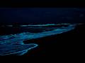 10 Hour Midnight Ocean Rain Waves Ultimate No Light Insomnia Relief