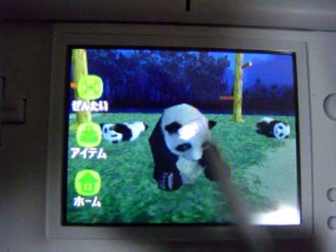 National Geographic Panda Nintendo DS