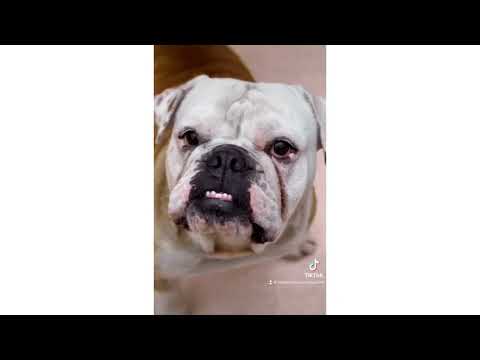 Donnez-lui votre cœur, il vous donnera le sien !