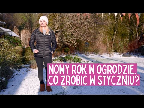 January Gardening: Planting, Pruning and Season Planning 🌱❄️