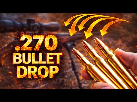 WHOTEEWHO CLIPS and WHO_TEE_WHO