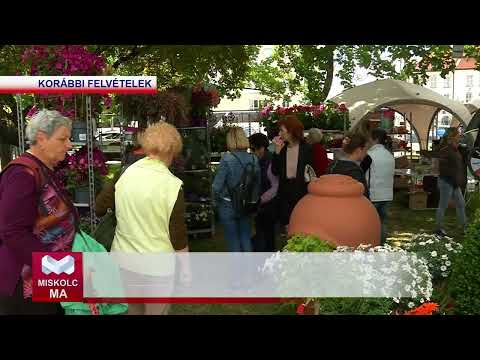 Videó előnézet