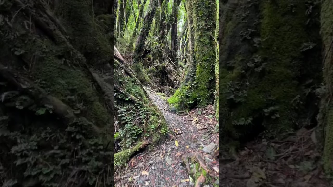 YouTube Short thumbnail