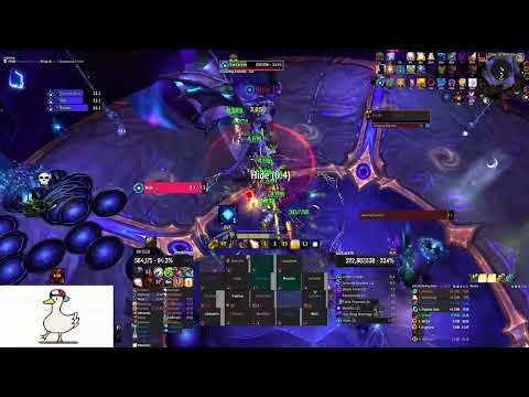 Incarnate vs Mythic Sarkareth (Holy Paladin Pov)