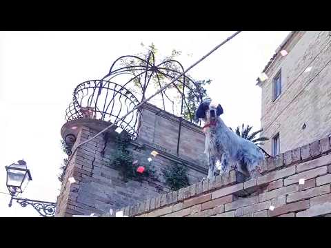 Monte Vidon Combatte