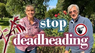 Rose Pruning in Autumn: ROSE Expert John Scarman Shares Top Cutting Secrets