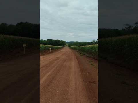 Pequeno Passeio Por são Pedro do Ivaí, Paraná #viajar  #automobile #turismo