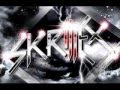Skrillex - Drop The Bass 