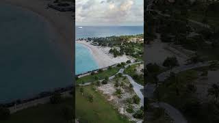 Is MSC's Alcohol-Free Package Worth $29/Day? #shorts