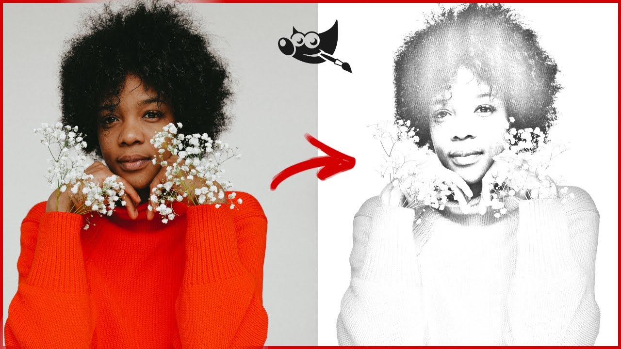 Como Transformar uma Foto em Desenho à Mão | GIMP Tutorial
