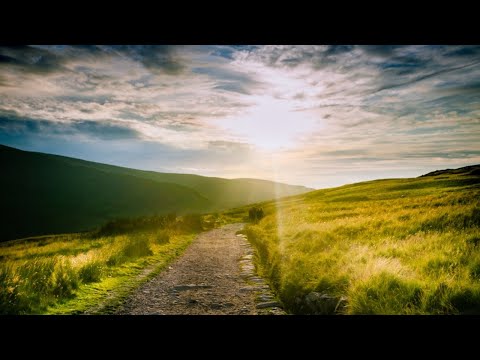 The Medicine of the Dharma Meditation — Jack Kornfield