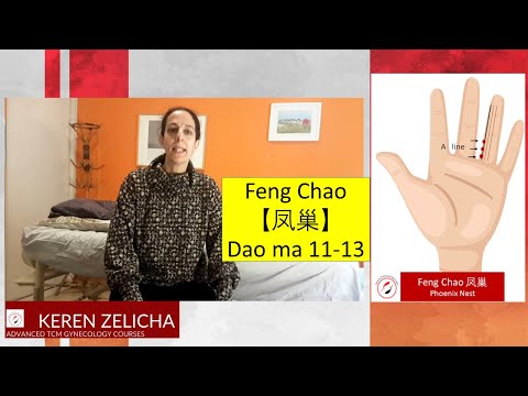 Master Tung's Feng Chao (Phoenix nest) Acupuncture Point