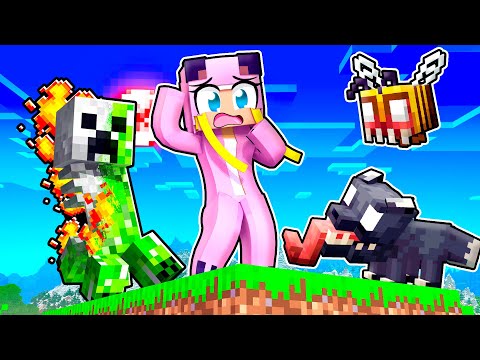 Minecraft, ABER ALLE MOBS sind GRUSELIG!