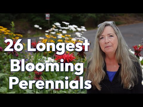 26 Best Longest Blooming Perennials for Continuous Color Every Year
