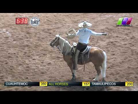 DLM289 250420 Block 2 - 2 VI Million Tournament All Horses Team