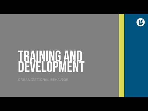 The Importance of Interpersonal Skills