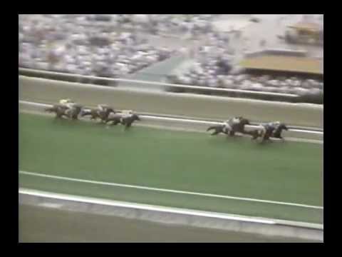 1989 Oak Tree Invitational Handicap - Hawkster