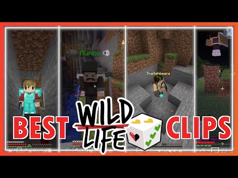 The Story of Wild Life (sessions 1-8)
