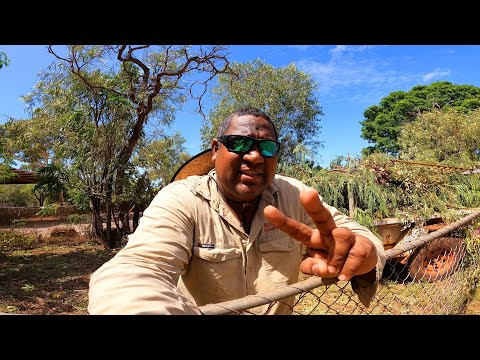 NEW CROCODILE ENCLOSURE BUILD: PART 1 - PROJECT INTRODUCTION