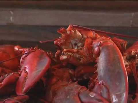 ChathamBarsInn on the Travel with Val