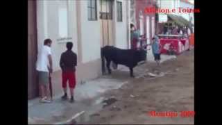 preview picture of video 'Especial Largadas de Toiros 2009 no Montijo'