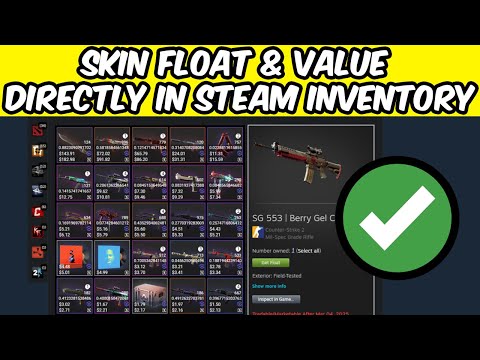 Steam Inventory Value Checker