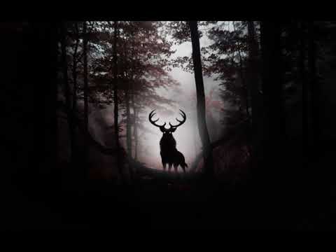 Primal Impulse - Deep, Minimal Tribal Dubstep Mix