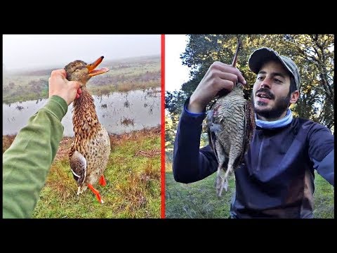 CAZA MENOR al Salto ¡Casi hacemos POKER!