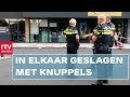Vechtpartij met honkbalknuppels en gigantische wespen gespot in Drenthe| Drente Nu 27 september 2021