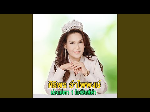 โบว์รักสีดำ