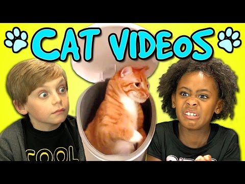 TheFineBros - 猫の動画に対する子供たちの反応 (中国語字幕) (TheFineBros - 小孩子對貓咪影片的反應 (中文字幕))