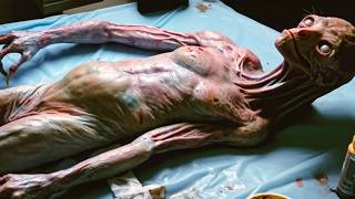 Genetic Experiments That Created Something Scientists Couldn’t Control
