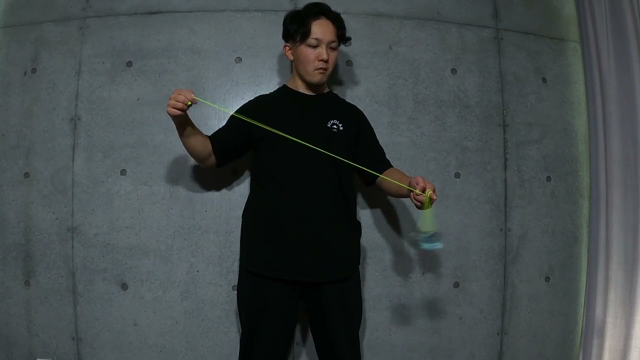 フォールディング・DoN