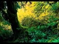 Robin Williamson - The Dialogue Of The Two Sages