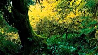 Robin Williamson - The Dialogue Of The Two Sages