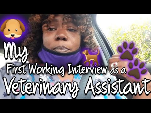 Dr. Sara May, Allergy and Immunology