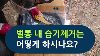 봄벌, 벌통 내 습기제거는 어떻게 하시나요? 제습제 넣기. 숯팩