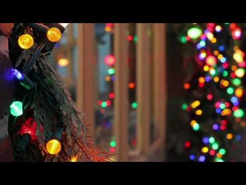 nothing to see here hoot hoot