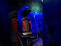 Ultraviolet light testing with UV brightener detergents and UV killer detergents and spray.