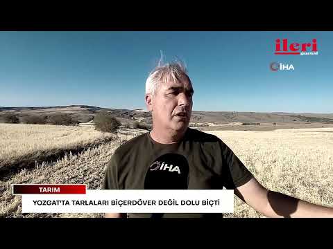 Yozgat'ta tarlaları biçerdöver değil dolu biçti | İleri Gazetesi