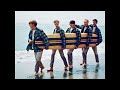 Palisades Park-The Beach Boys