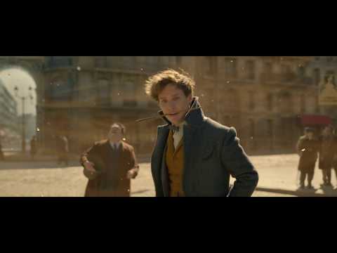 Fantastic Beasts UHD - The Crimes of Grindelwald (2018) - Niffler Investigation (06/13) | 4K Clips