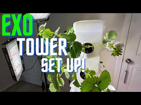 How to Set Up Exo Hydroponic Garden Tower