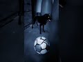 Scary Dog Bhuter Video Bhoot Video Bhoot Bhoot Video Bhutergolpo
